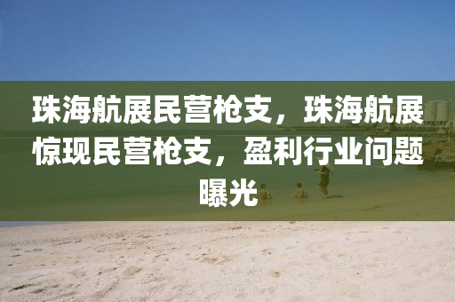 珠海航展民营枪支，珠海航展惊现民营枪支，盈利行业问题曝光