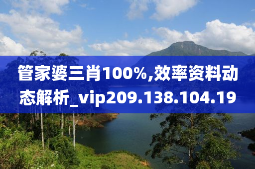 管家婆三肖100%,效率资料动态解析_vip209.138.104.190