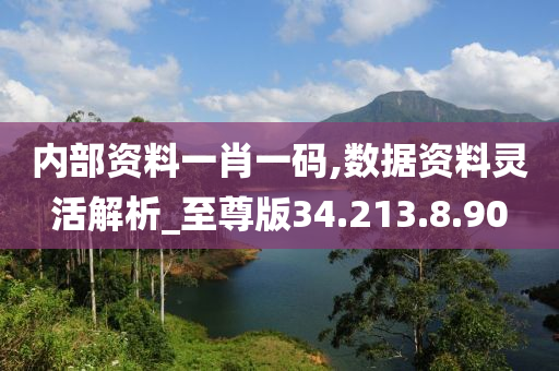 内部资料一肖一码,数据资料灵活解析_至尊版34.213.8.90