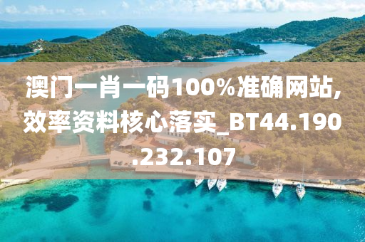 澳门一肖一码100%准确网站,效率资料核心落实_BT44.190.232.107