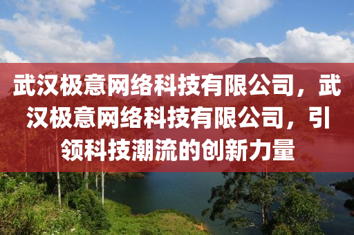 武汉极意网络科技有限公司，武汉极意网络科技有限公司，引领科技潮流的创新力量