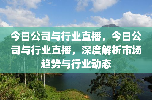 今日公司与行业直播，今日公司与行业直播，深度解析市场趋势与行业动态