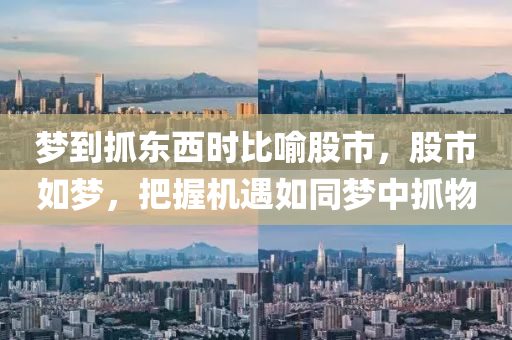 梦到抓东西时比喻股市，股市如梦，把握机遇如同梦中抓物