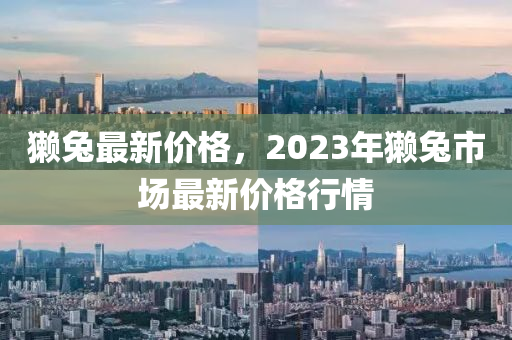 獭兔最新价格，2023年獭兔市场最新价格行情