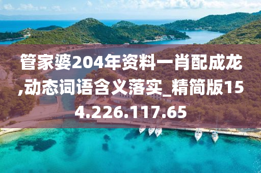 管家婆204年资料一肖配成龙,动态词语含义落实_精简版154.226.117.65