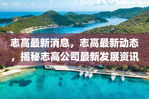 志高最新消息，志高最新动态，揭秘志高公司最新发展资讯