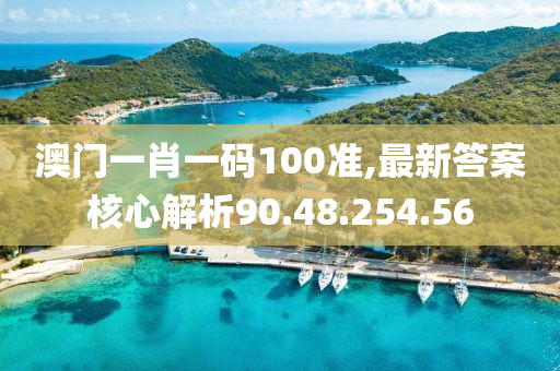 澳门一肖一码100准,最新答案核心解析90.48.254.56