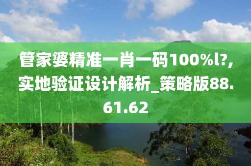 管家婆精准一肖一码100%l?,实地验证设计解析_策略版88.61.62