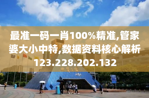 最准一码一肖100%精准,管家婆大小中特,数据资料核心解析123.228.202.132