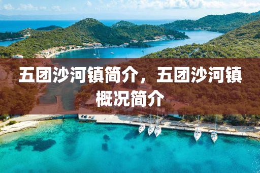 五团沙河镇简介，五团沙河镇概况简介