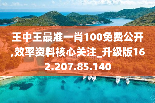 王中王最准一肖100免费公开,效率资料核心关注_升级版162.207.85.140