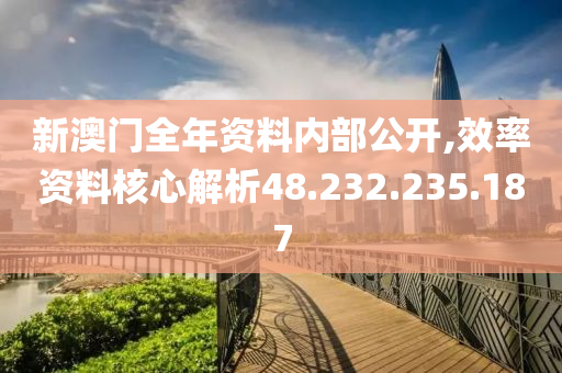 新澳门全年资料内部公开,效率资料核心解析48.232.235.187