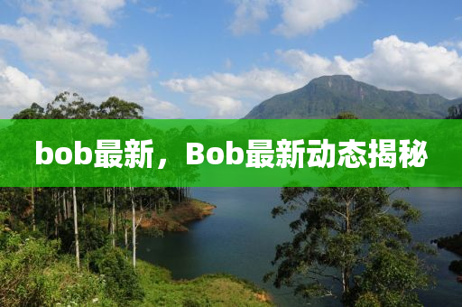 bob最新，Bob最新动态揭秘