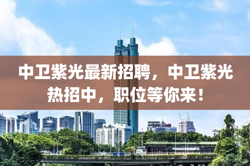 中卫紫光最新招聘，中卫紫光热招中，职位等你来！