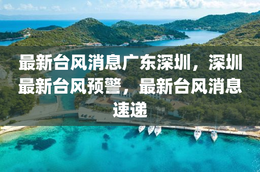 最新臺風消息廣東深圳，深圳最新臺風預警，最新臺風消息速遞