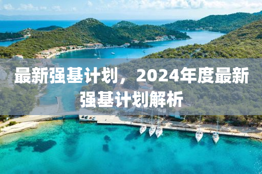 最新強基計劃，2024年度最新強基計劃解析