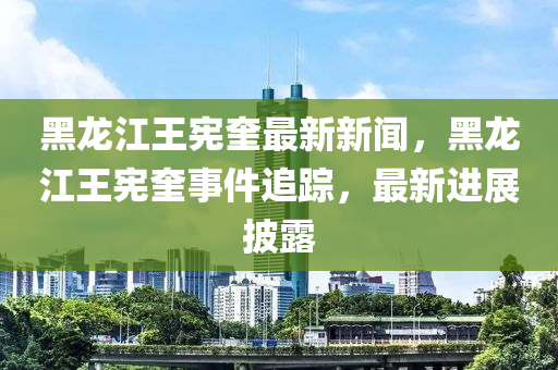 黑龍江王憲奎最新新聞，黑龍江王憲奎事件追蹤，最新進(jìn)展披露