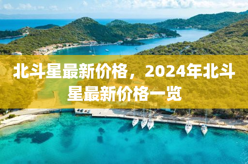 北斗星最新價格，2024年北斗星最新價格一覽