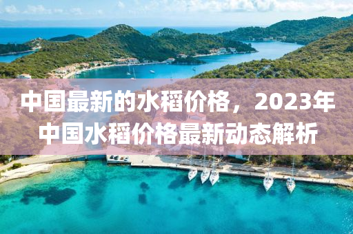 中國最新的水稻價格，2023年中國水稻價格最新動態(tài)解析