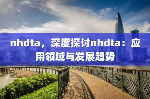 nhdta，深度探讨nhdta：应用领域与发展趋势