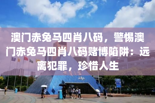 澳门赤兔马四肖八码，警惕澳门赤兔马四肖八码赌博陷阱：远离犯罪，珍惜人生