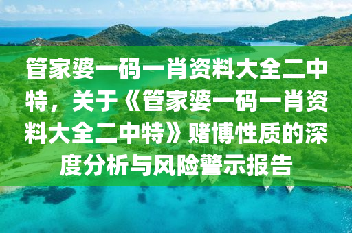 管家婆一碼一肖資料大全二中特，關(guān)于《管家婆一碼一肖資料大全二中特》賭博性質(zhì)的深度分析與風(fēng)險(xiǎn)警示報(bào)告