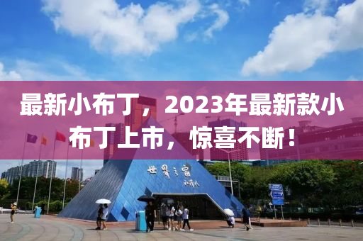 最新小布丁，2023年最新款小布丁上市，驚喜不斷！