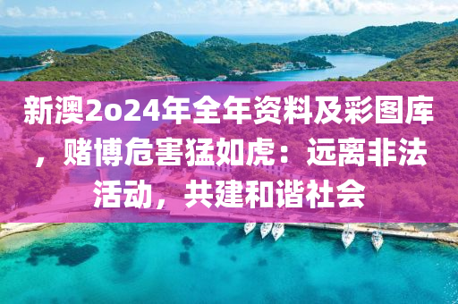 新澳2o24年全年資料及彩圖庫，賭博危害猛如虎：遠離非法活動，共建和諧社會