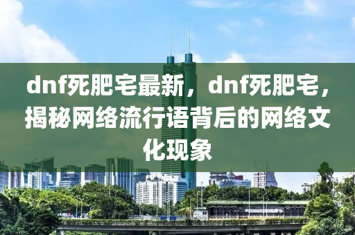 dnf死肥宅最新，dnf死肥宅，揭秘網(wǎng)絡(luò)流行語(yǔ)背后的網(wǎng)絡(luò)文化現(xiàn)象