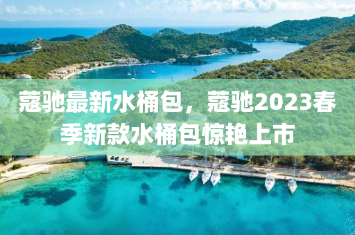 蔻驰最新水桶包，蔻驰2023春季新款水桶包惊艳上市