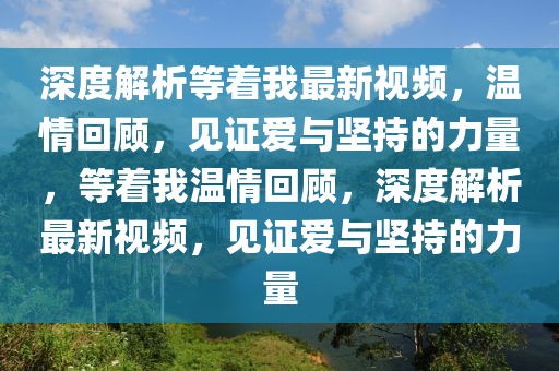 深度解析等着我最新视频，温情回顾，见证爱与坚持的力量，等着我温情回顾，深度解析最新视频，见证爱与坚持的力量