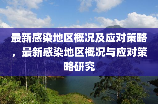 最新感染地区概况及应对策略，最新感染地区概况与应对策略研究