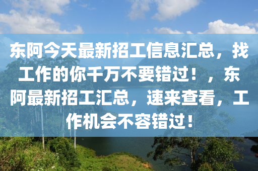 東阿今天最新招工信息匯總，找工作的你千萬不要錯過！，東阿最新招工匯總，速來查看，工作機會不容錯過！