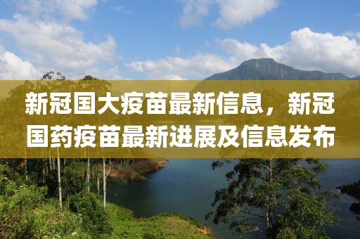 新冠国大疫苗最新信息，新冠国药疫苗最新进展及信息发布