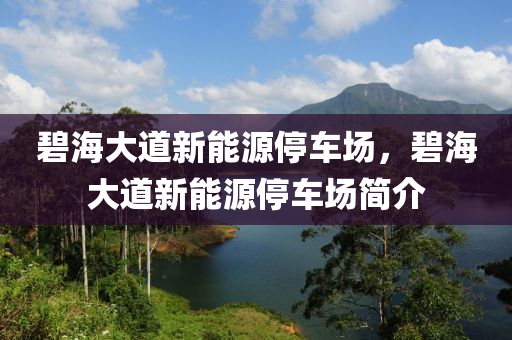 碧海大道新能源停車場，碧海大道新能源停車場簡介