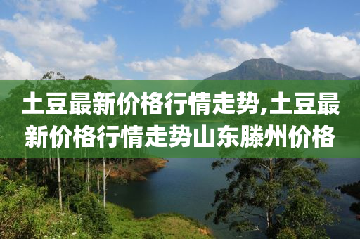 土豆最新價格行情走勢,土豆最新價格行情走勢山東滕州價格