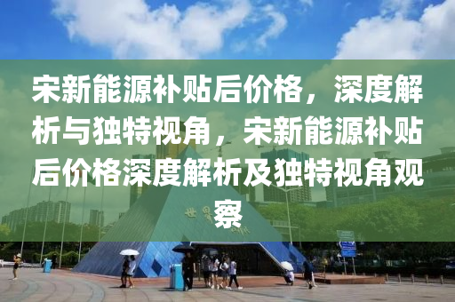 宋新能源补贴后价格，深度解析与独特视角，宋新能源补贴后价格深度解析及独特视角观察