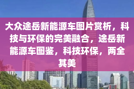 大眾途岳新能源車圖片賞析，科技與環(huán)保的完美融合，途岳新能源車圖鑒，科技環(huán)保，兩全其美