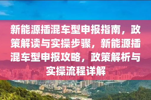 新能源插混車型申報指南，政策解讀與實操步驟，新能源插混車型申報攻略，政策解析與實操流程詳解