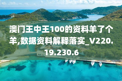 澳门王中王100的资料羊了个羊,数据资料解释落实_V220.19.230.6