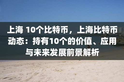 上海 10個比特幣，上海比特幣動態(tài)：持有10個的價值、應(yīng)用與未來發(fā)展前景解析