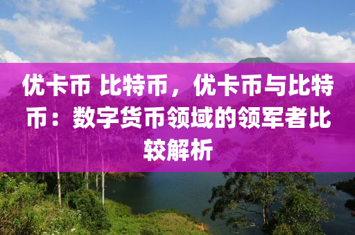 優(yōu)卡幣 比特幣，優(yōu)卡幣與比特幣：數(shù)字貨幣領域的領軍者比較解析