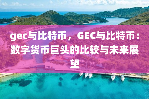 gec与比特币，GEC与比特币：数字货币巨头的比较与未来展望