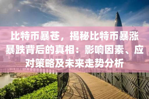 比特币暴苍，揭秘比特币暴涨暴跌背后的真相：影响因素、应对策略及未来走势分析