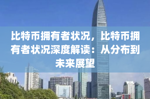 比特币拥有者状况，比特币拥有者状况深度解读：从分布到未来展望