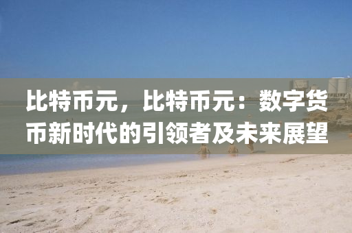 比特幣元，比特幣元：數(shù)字貨幣新時(shí)代的引領(lǐng)者及未來(lái)展望