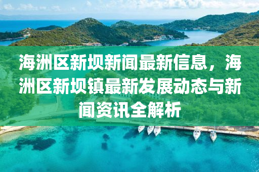 海洲区新坝新闻最新信息，海洲区新坝镇最新发展动态与新闻资讯全解析