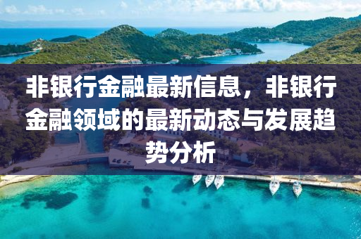 非銀行金融最新信息，非銀行金融領(lǐng)域的最新動態(tài)與發(fā)展趨勢分析