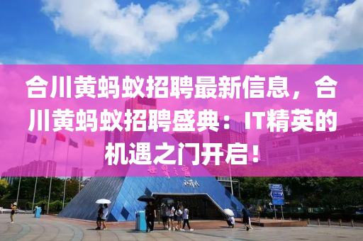 合川黃螞蟻招聘最新信息，合川黃螞蟻招聘盛典：IT精英的機(jī)遇之門開(kāi)啟！