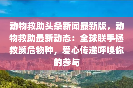 動物救助頭條新聞最新版，動物救助最新動態(tài)：全球聯(lián)手拯救瀕危物種，愛心傳遞呼喚你的參與